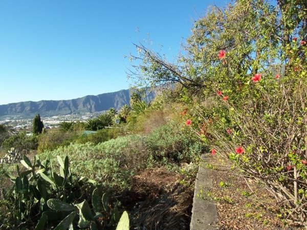 Casitas Vista Valle Bajo Эль-Пасо Экстерьер фото
